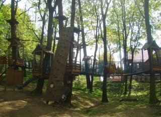 Park Linowy