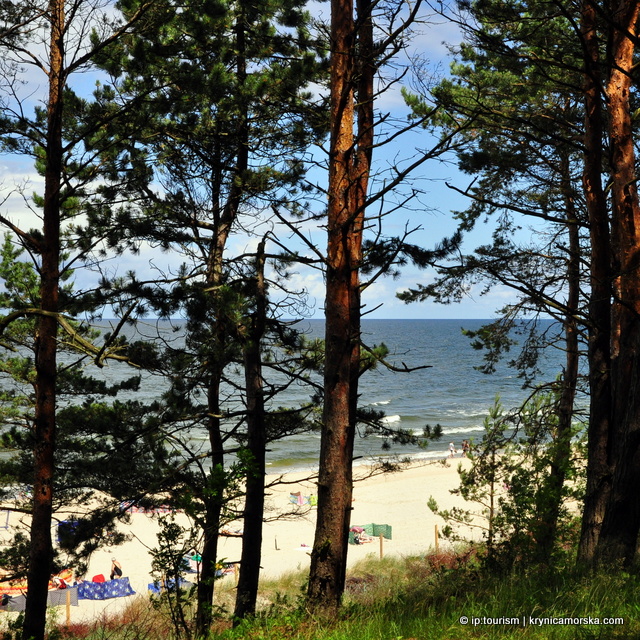 widok na plaże 