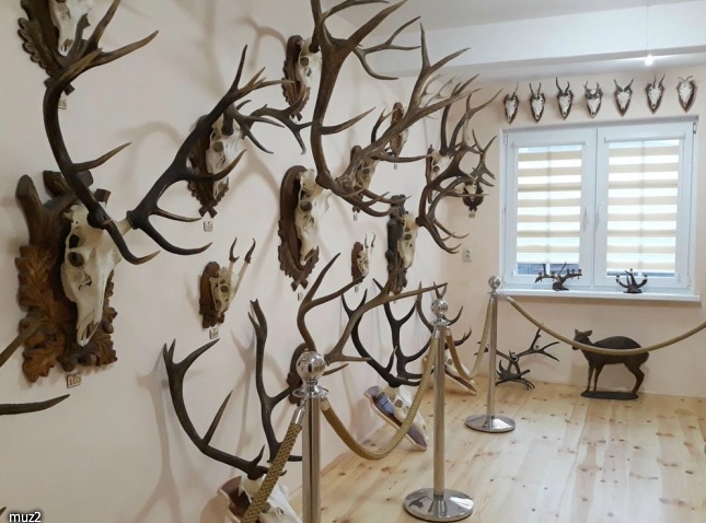 Muzeum Przyrodniczo-Myśliwskie 