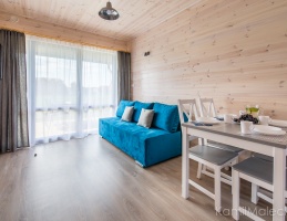 Apartamenty Amelia Apartamenty w domkach drewnianych Amelia_Salon z aneksem kuchennym