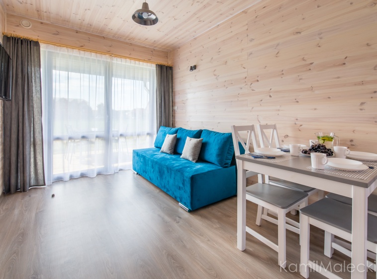 ..... Apartamenty w domkach drewnianych Amelia_Salon z aneksem kuchennym