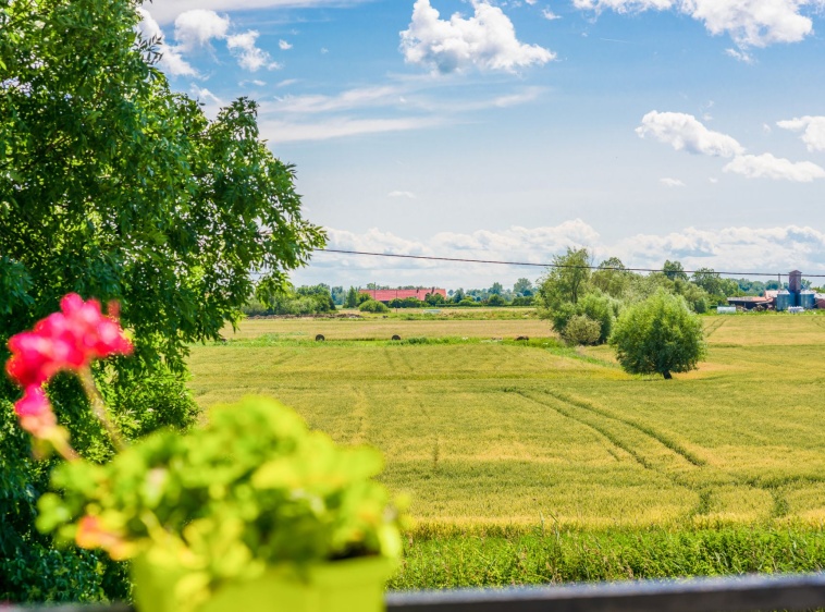 Apartamenty Verona  