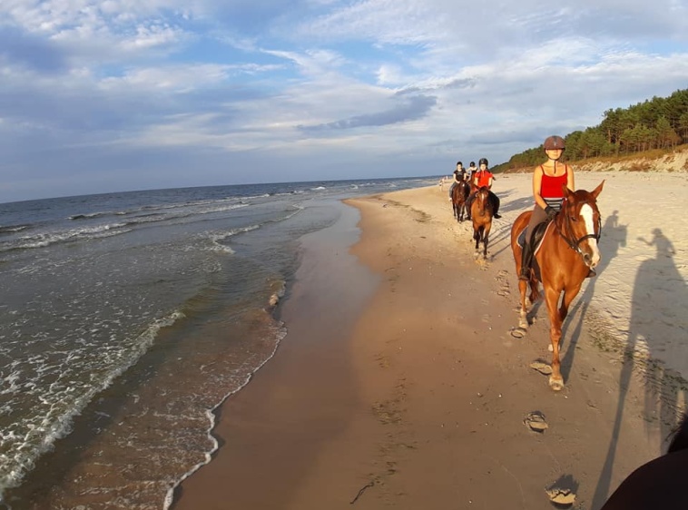 Ośrodek Jazdy Konnej Mierzeja