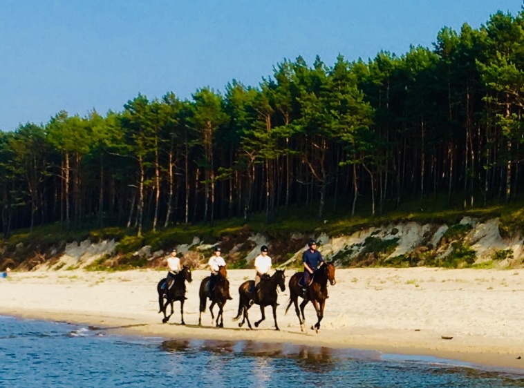 Ośrodek Jazdy Konnej Mierzeja